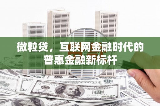 秦淮微粒贷，互联网金融时代的普惠金融新标杆
