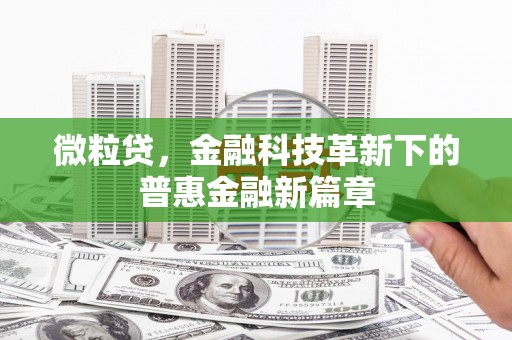 平南微粒贷，金融科技革新下的普惠金融新篇章