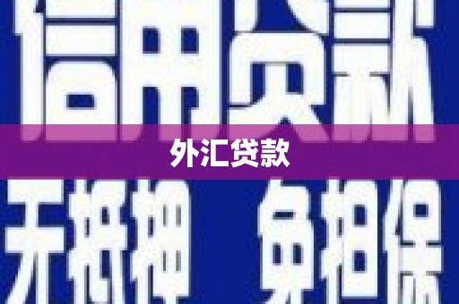 茂县外汇贷款