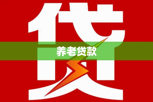 武山养老贷款