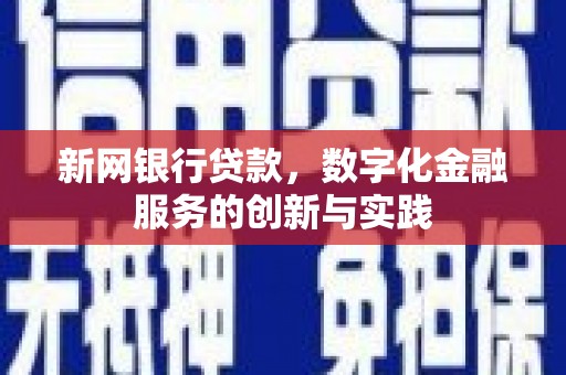 民权新网银行贷款，数字化金融服务的创新与实践