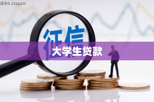 岱岳大学生贷款