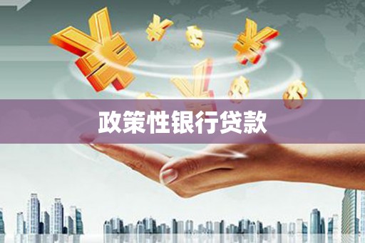 咸宁政策性银行贷款