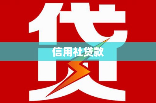 田林信用社贷款