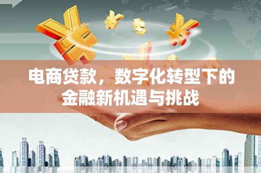 台南电商贷款，数字化转型下的金融新机遇与挑战