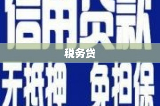 昭苏税务贷