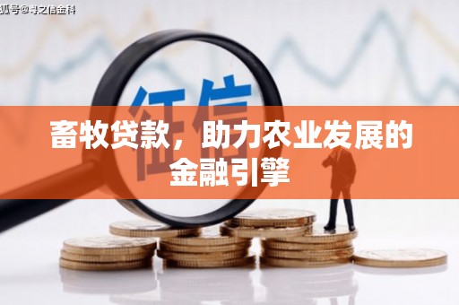 双鸭山畜牧贷款，助力农业发展的金融引擎