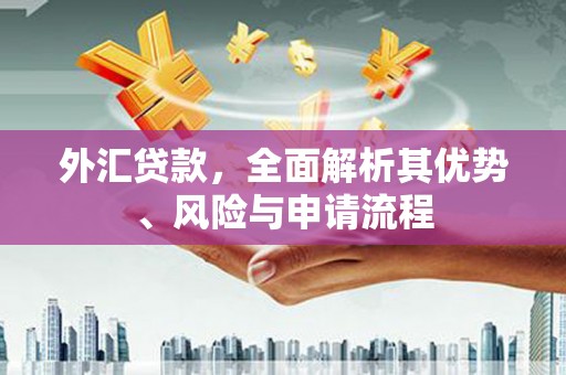 嘉祥外汇贷款，全面解析其优势、风险与申请流程