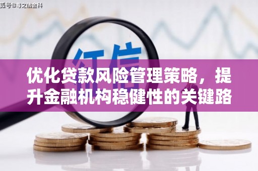 丰原优化贷款风险管理策略，提升金融机构稳健性的关键路径