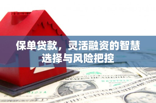 芬园保单贷款，灵活融资的智慧选择与风险把控