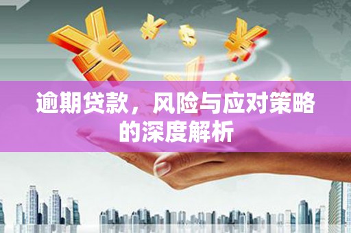 山东逾期贷款，风险与应对策略的深度解析