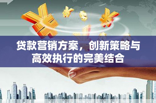 唐县贷款营销方案，创新策略与高效执行的完美结合