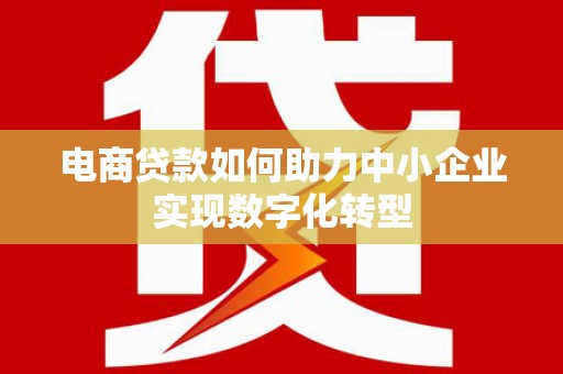 宁晋电商贷款如何助力中小企业实现数字化转型