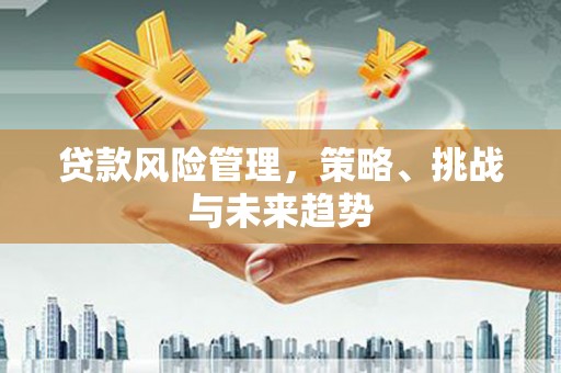 永宁贷款风险管理，策略、挑战与未来趋势