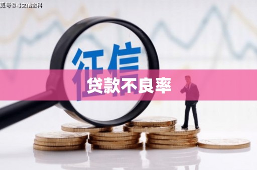 无为贷款不良率