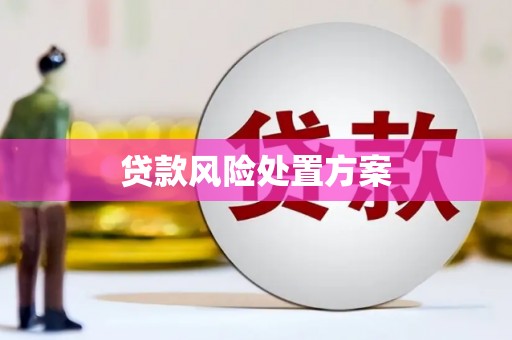 广水贷款风险处置方案
