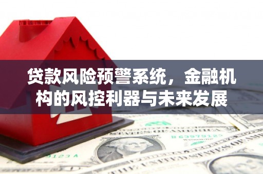 诏安贷款风险预警系统，金融机构的风控利器与未来发展