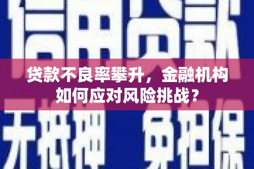 兴宾贷款不良率攀升，金融机构如何应对风险挑战？