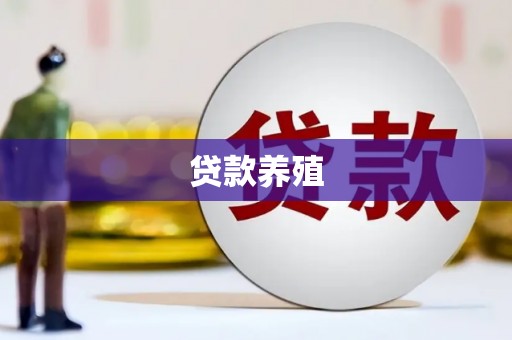 云岩贷款养殖
