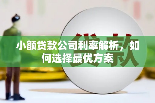 叶县小额贷款公司利率解析，如何选择最优方案