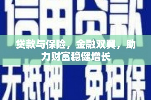 静宁贷款与保险，金融双翼，助力财富稳健增长