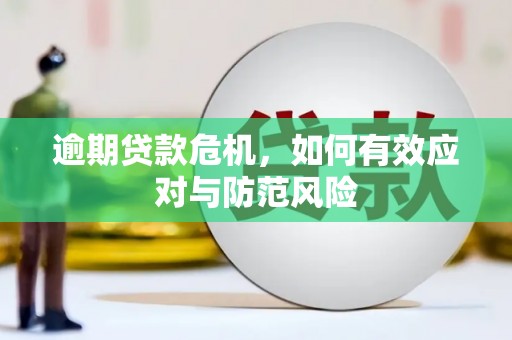 开阳逾期贷款危机，如何有效应对与防范风险