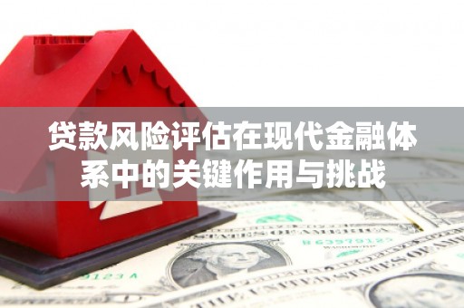 无极贷款风险评估在现代金融体系中的关键作用与挑战