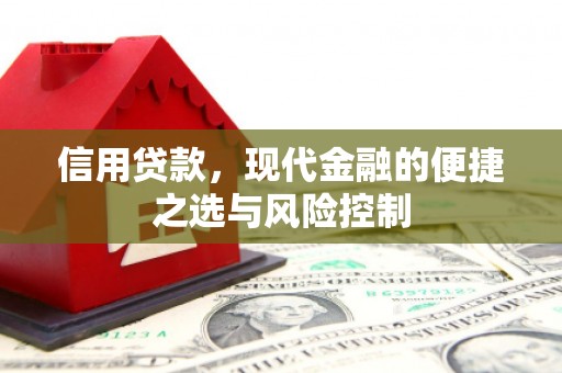 阜宁信用贷款，现代金融的便捷之选与风险控制