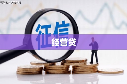 华宁经营贷
