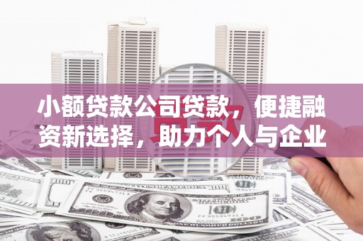 锡林郭勒小额贷款公司贷款，便捷融资新选择，助力个人与企业成长