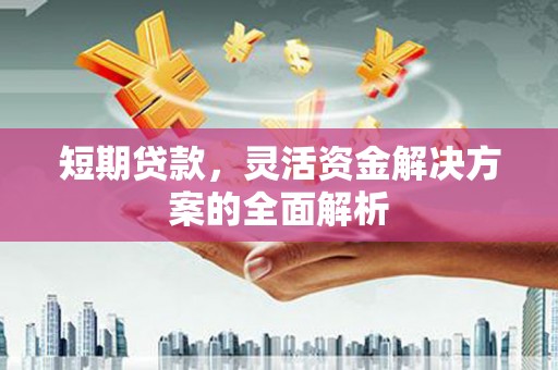 延平短期贷款，灵活资金解决方案的全面解析