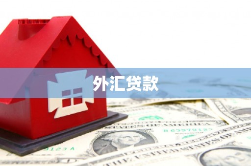 广水外汇贷款