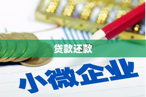秀林贷款还款