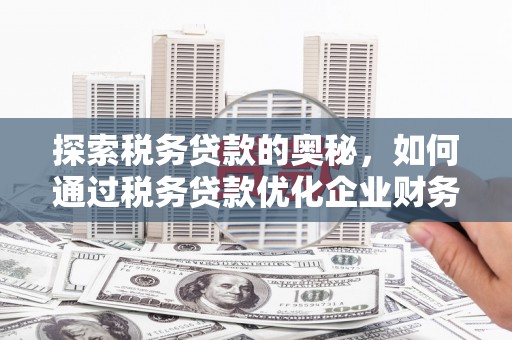 邯郸探索税务贷款的奥秘，如何通过税务贷款优化企业财务