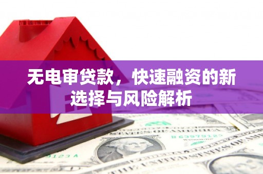 海原无电审贷款，快速融资的新选择与风险解析