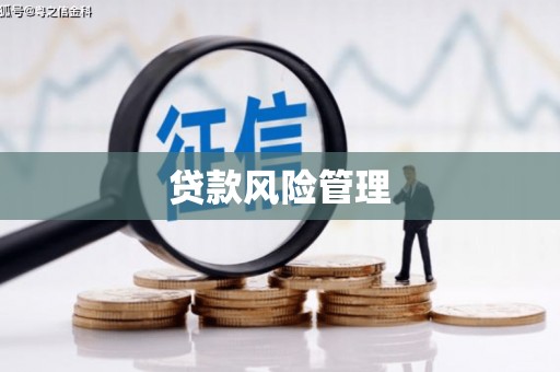 海丰贷款风险管理