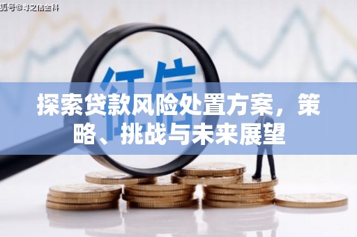 临沭探索贷款风险处置方案，策略、挑战与未来展望