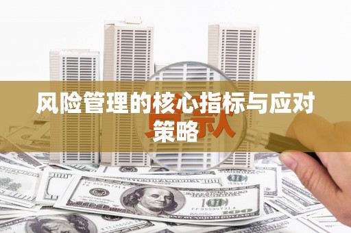 岭东风险管理的核心指标与应对策略