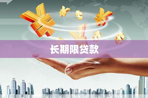 柞水长期限贷款