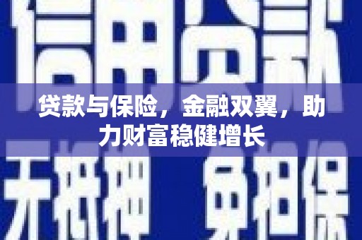 洛扎贷款与保险，金融双翼，助力财富稳健增长