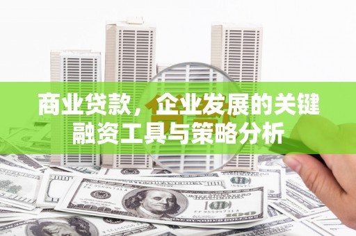 新野商业贷款，企业发展的关键融资工具与策略分析