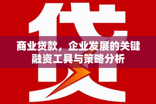 丰南商业贷款，企业发展的关键融资工具与策略分析