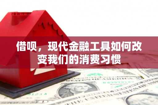 门源借呗，现代金融工具如何改变我们的消费习惯