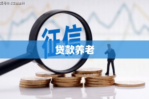 共和贷款养老