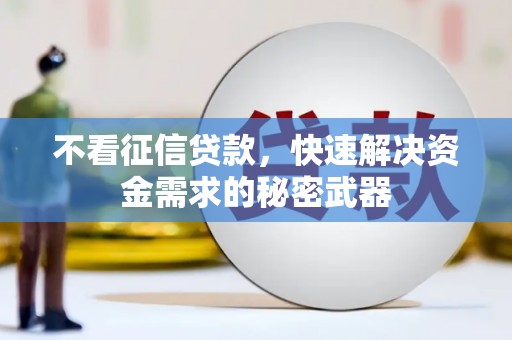 定陶不看征信贷款，快速解决资金需求的秘密武器