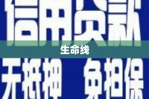 康县生命线