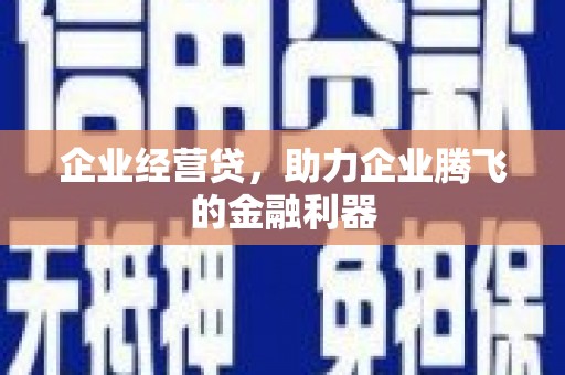 福贡企业经营贷，助力企业腾飞的金融利器