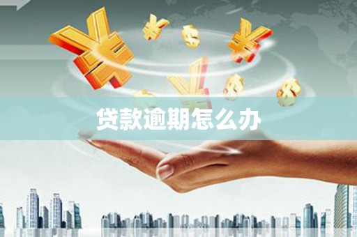 沧县贷款逾期怎么办