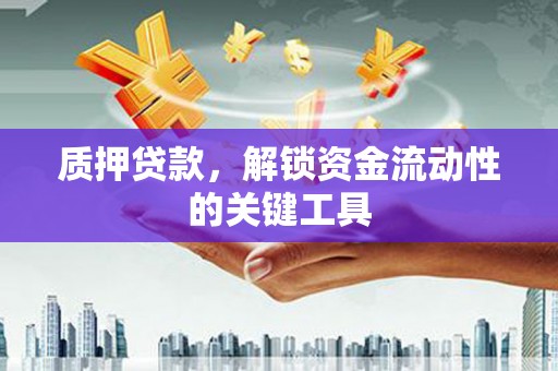 民权质押贷款，解锁资金流动性的关键工具