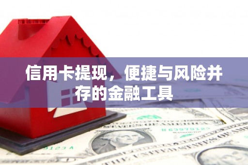 汝南信用卡提现，便捷与风险并存的金融工具